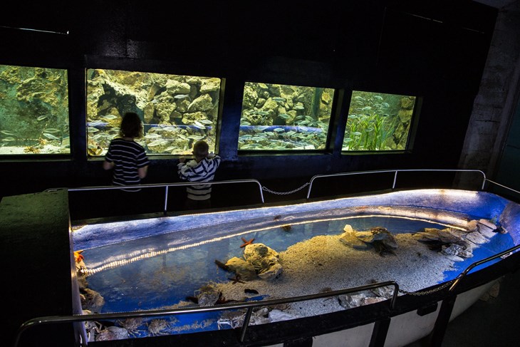 Aquarium Pula Poreč Umag
